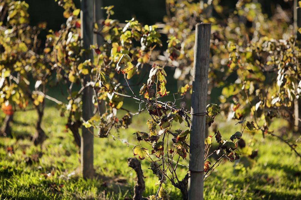 Ibis budget Pouilly en Auxois