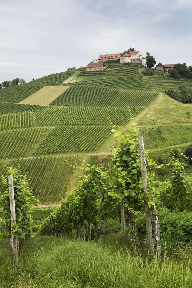 Ibis budget Pouilly en Auxois