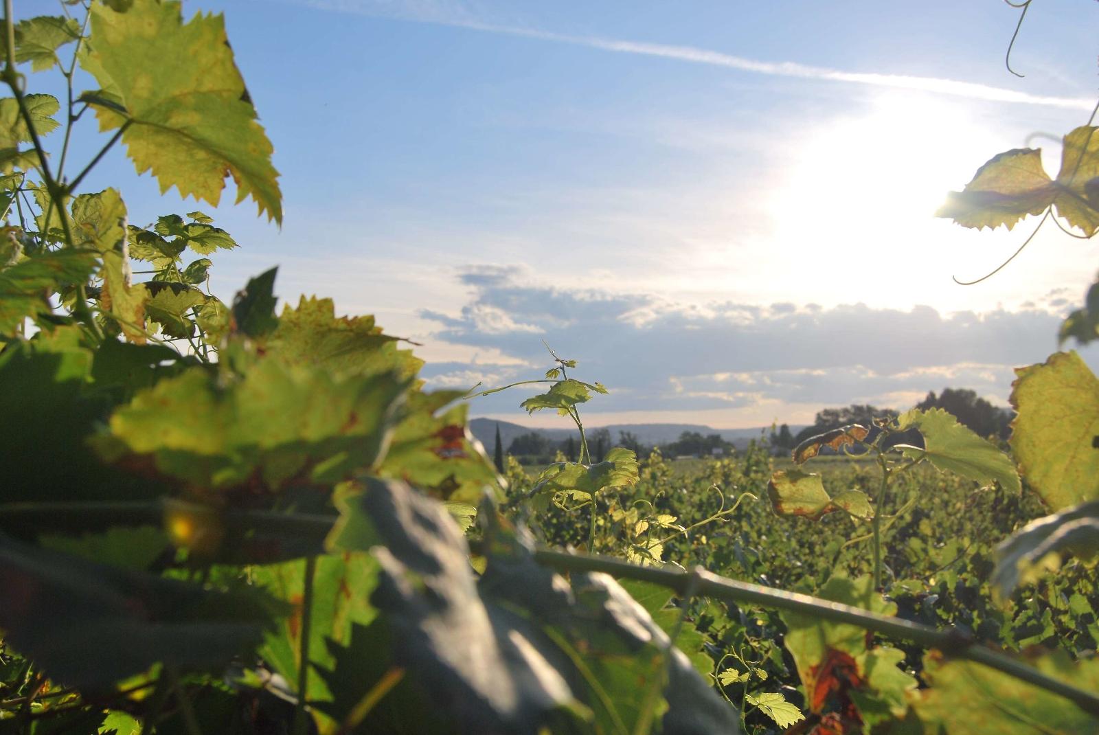 Hotel The Originals Romans-sur-Isere Le Clos des Tanneurs