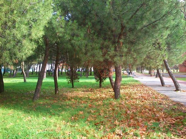 Residencia Universitaria Giner de Los Ríos