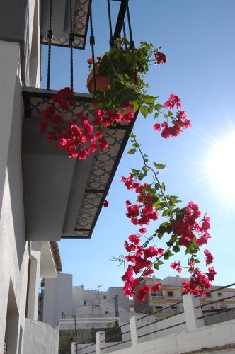 El Tranco Del Mar
