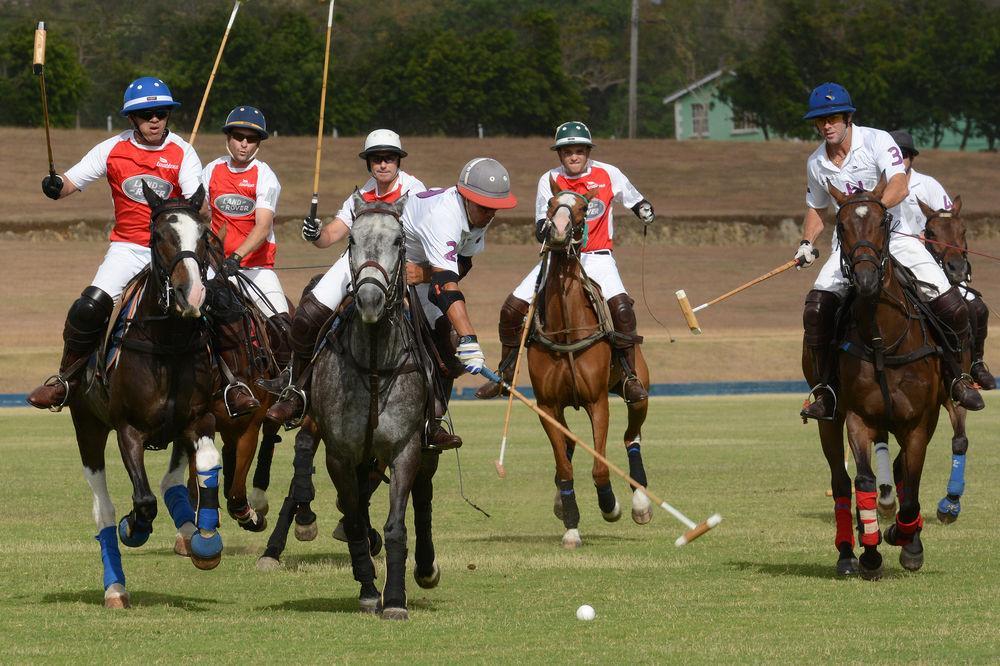 Apes Hill Golf and Polo Club