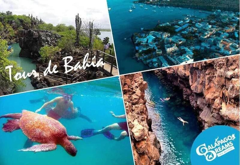Galapagos Dreams