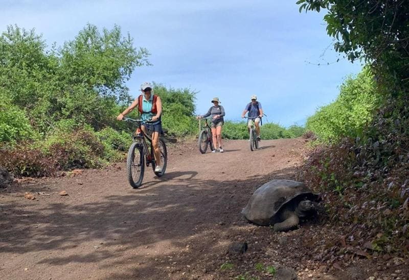 Galapagos Dreams