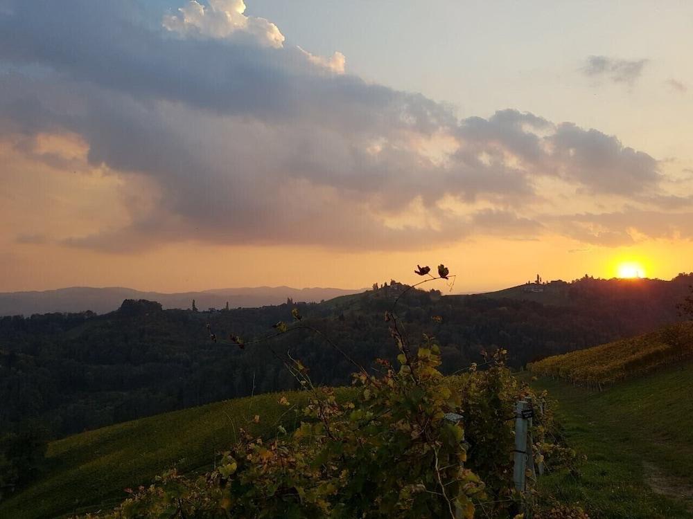 Staribacher