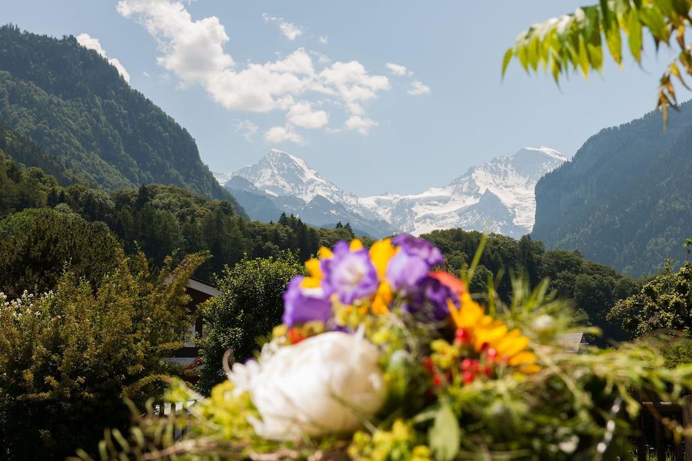 Alpine Inn by Jungfrau Hotel