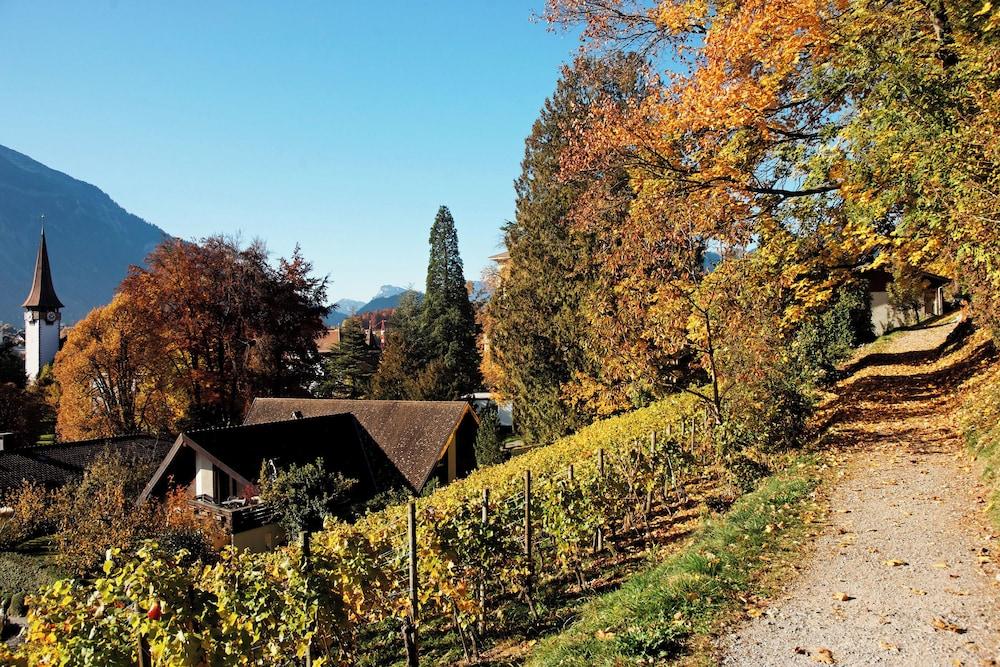 Alpine Inn by Jungfrau Hotel