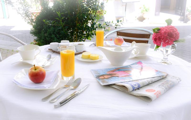 Hotel Le Dauphin