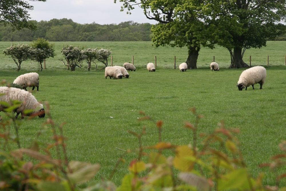 Northumberland Cottage - B&B