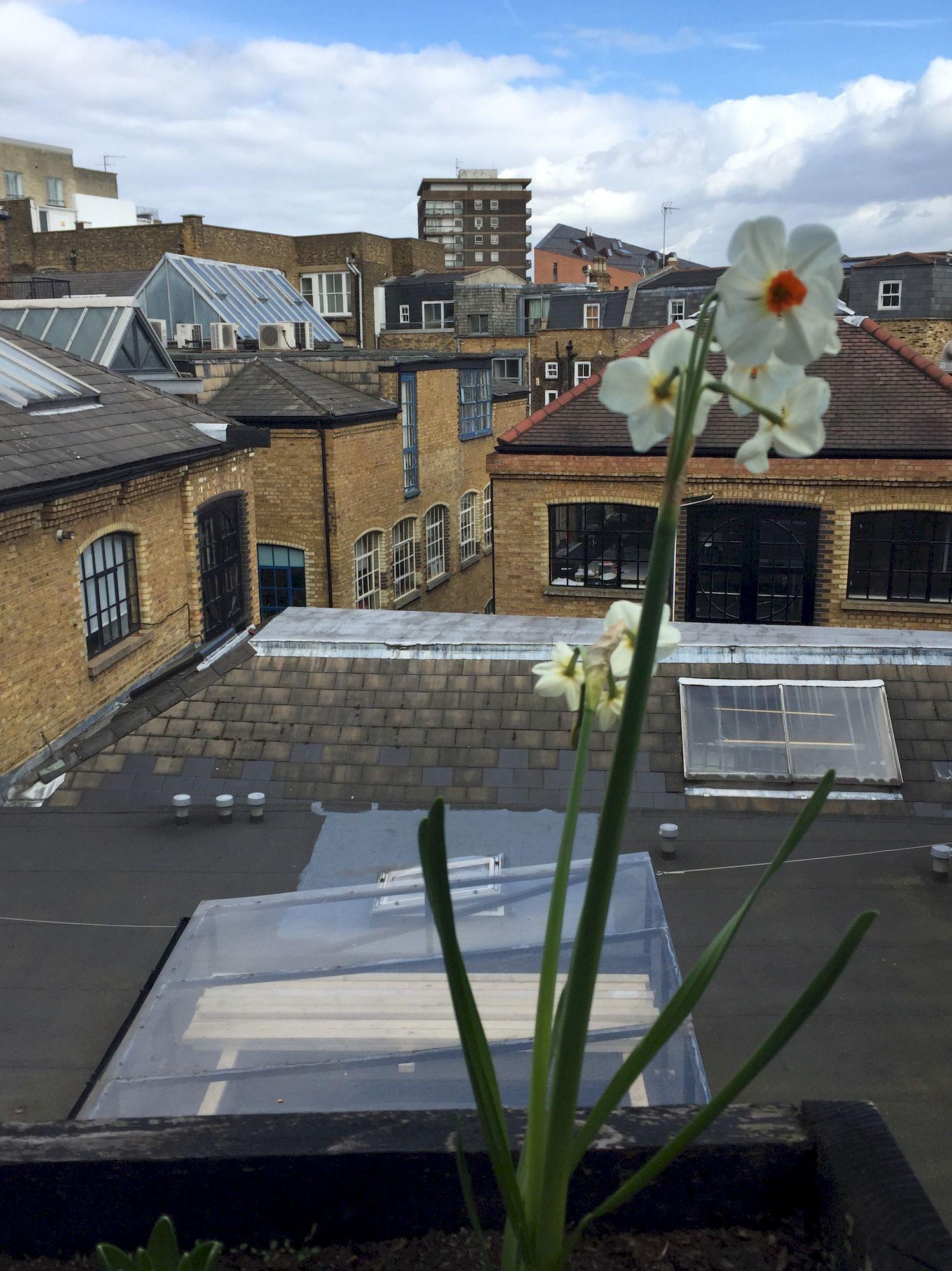 The Dictionary Hostel