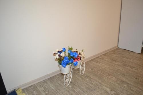 Hostel In Tbilisi