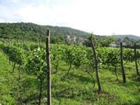 Chateau Mere