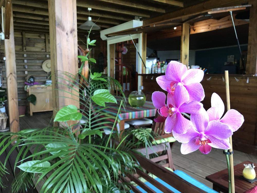 Paradis Tropical