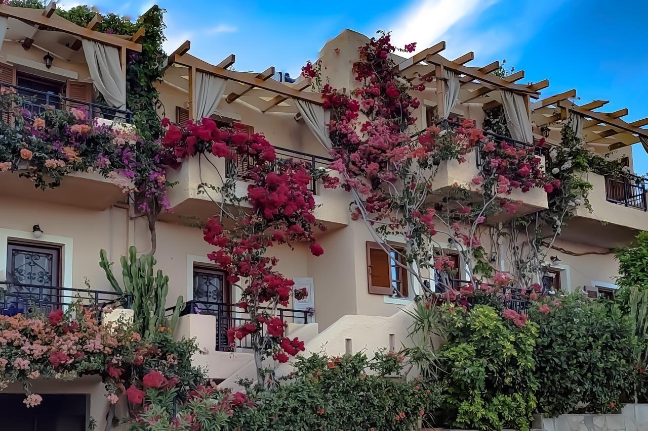 Niki Apartments