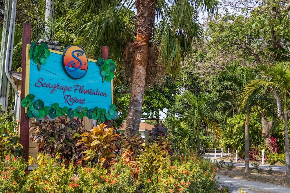 Seagrape Plantation Resort