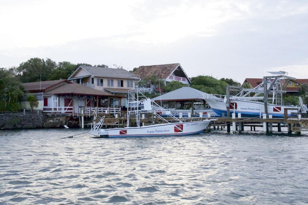 Seagrape Plantation Resort
