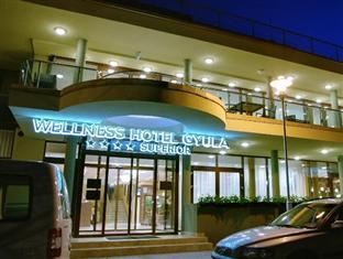 Wellness Hotel Gyula