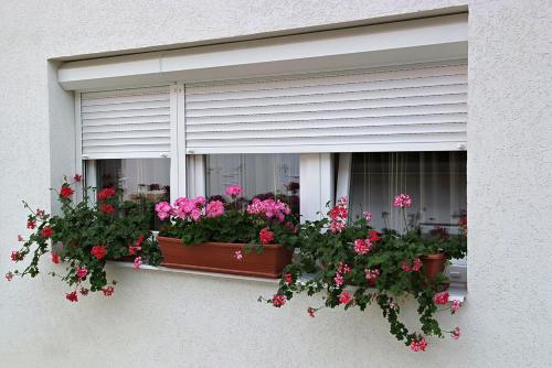 Humgaria Apartmanhaz