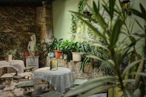 Aphrodite Apartments & Café