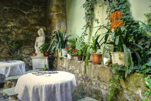 Aphrodite Apartments & Café