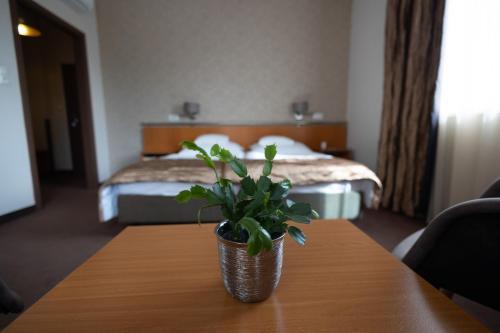 City Hotel