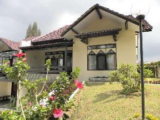 Sibayak International