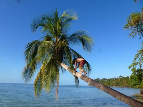 La Costa de Papito