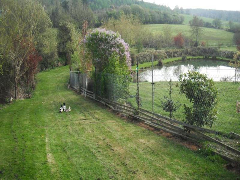 Dawn House B&B