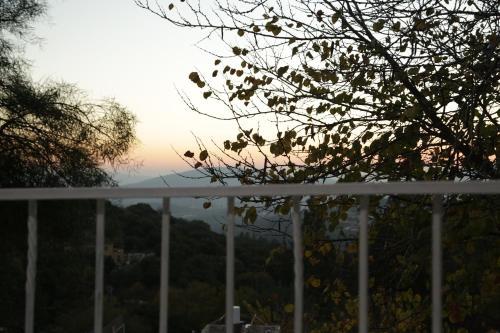 Roof Of The Galilee