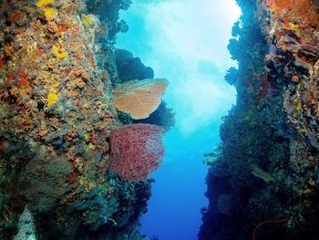 Dhigurah Retreat Beach