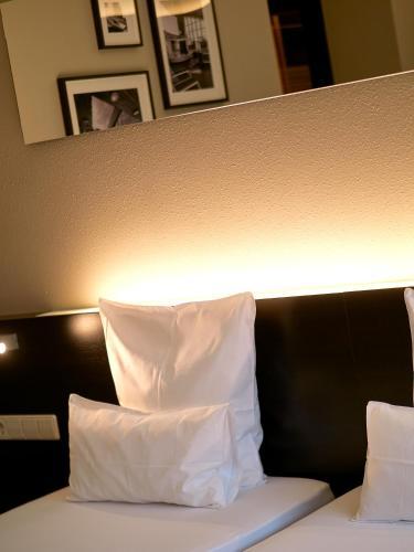 D'Coque Venue & Accommodations