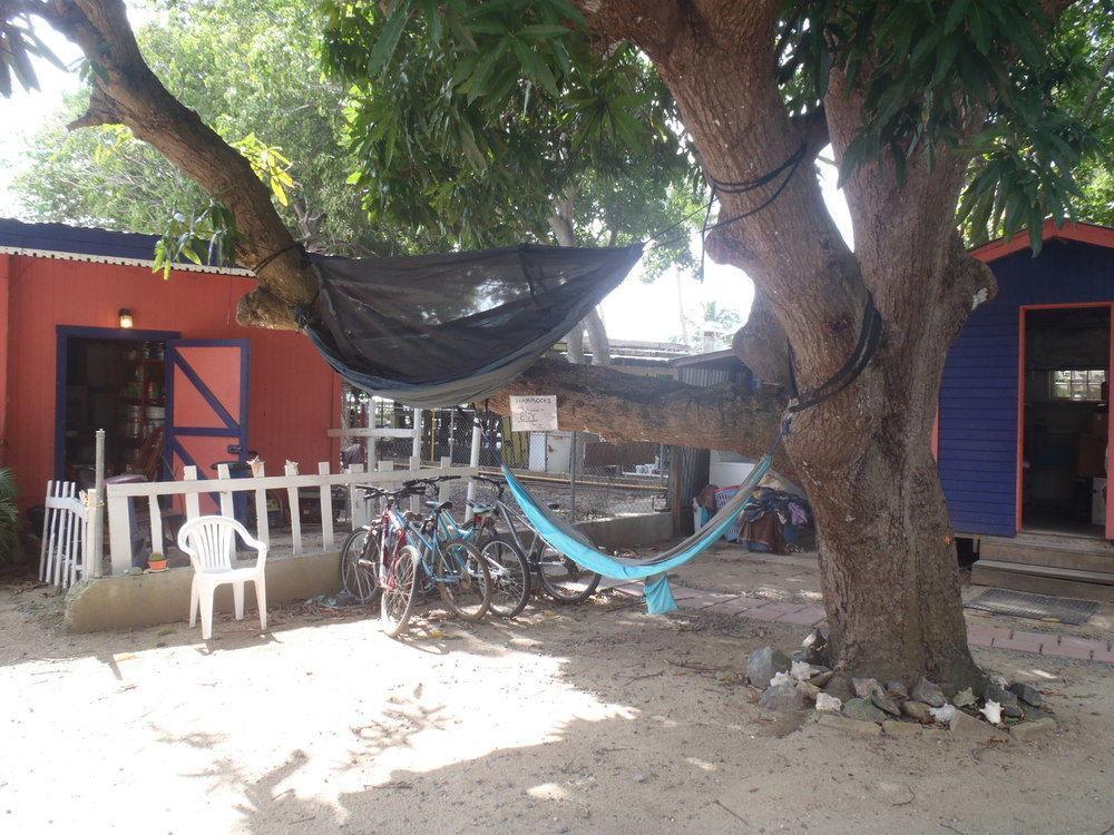 Lazy Hostel