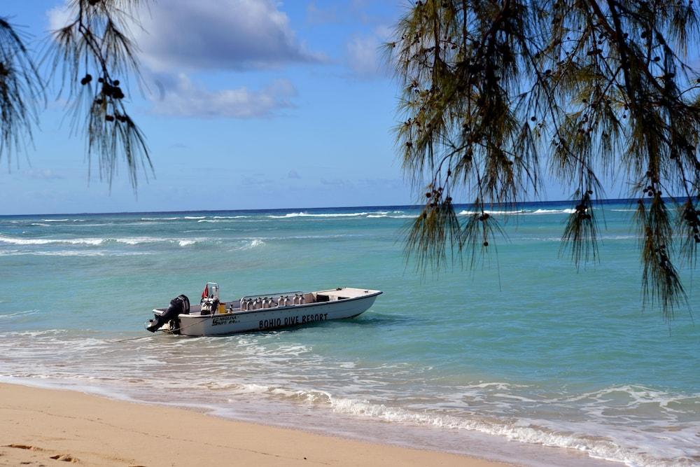 Bohio Dive Resort