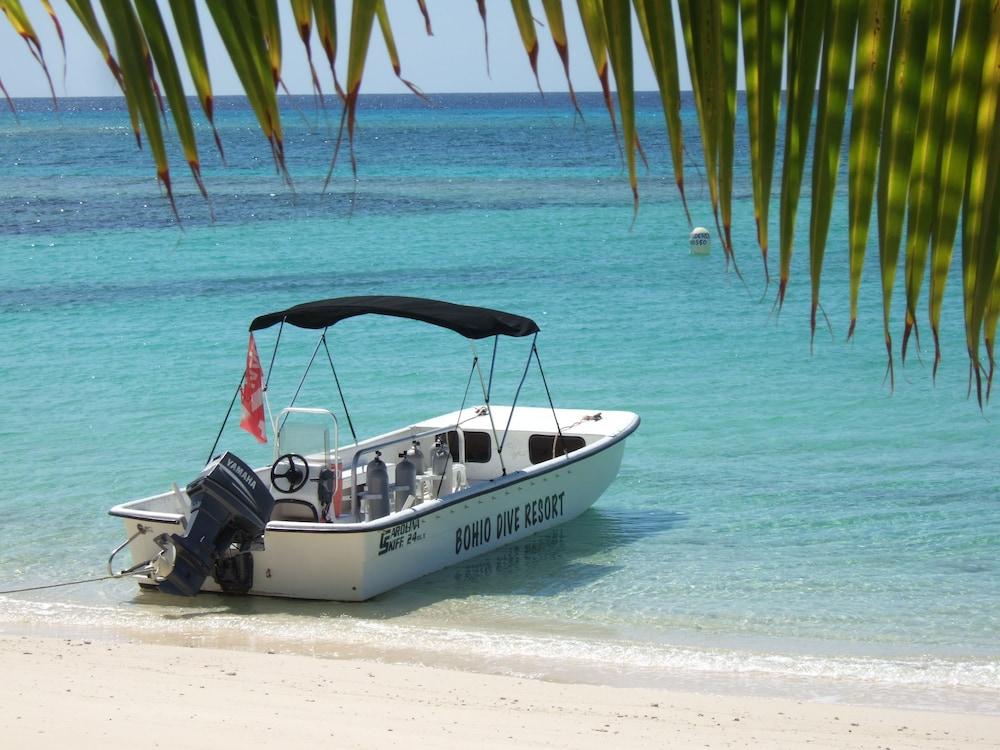 Bohio Dive Resort