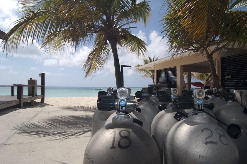 Bohio Dive Resort