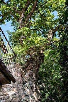 Hotel Sette Querce