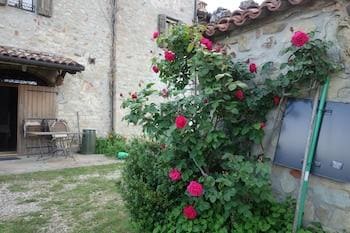 Monte Bibele