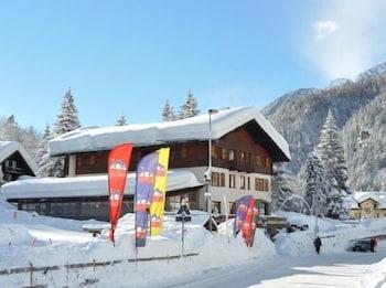 Hotel Flora Alpina
