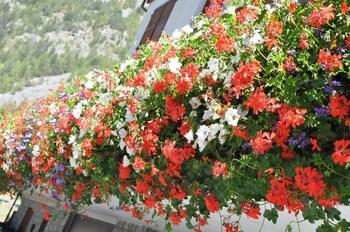 Hotel Flora Alpina