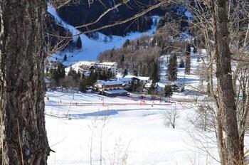 Hotel Flora Alpina