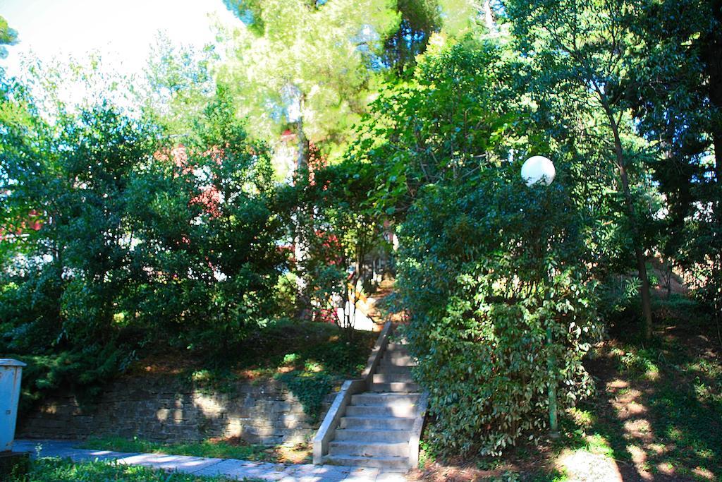 Maestral Residence
