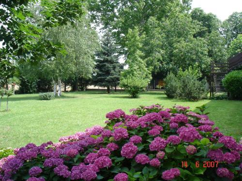 Country Hotel