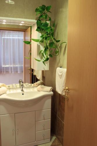 Villa Tamara