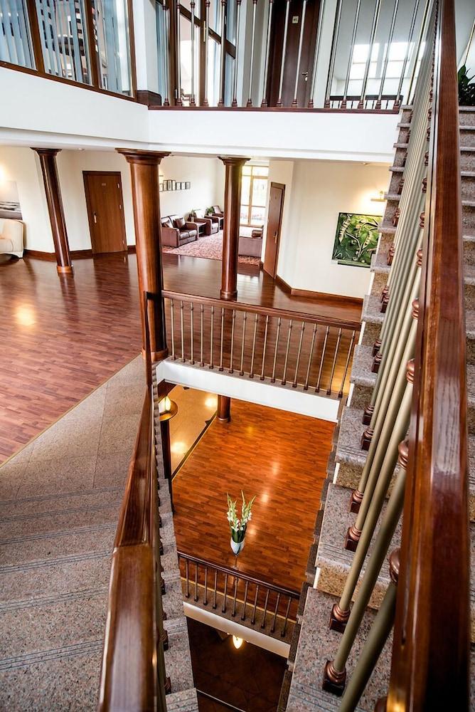 Violeta