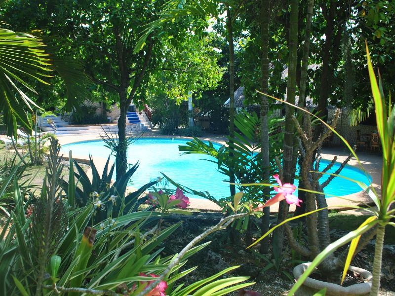 The Blue Orchid Resort