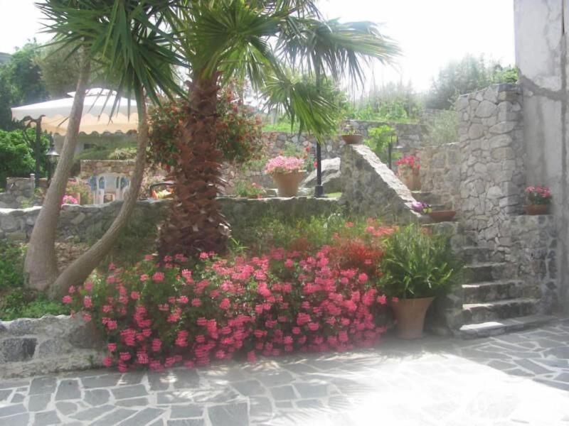 B&B Korello