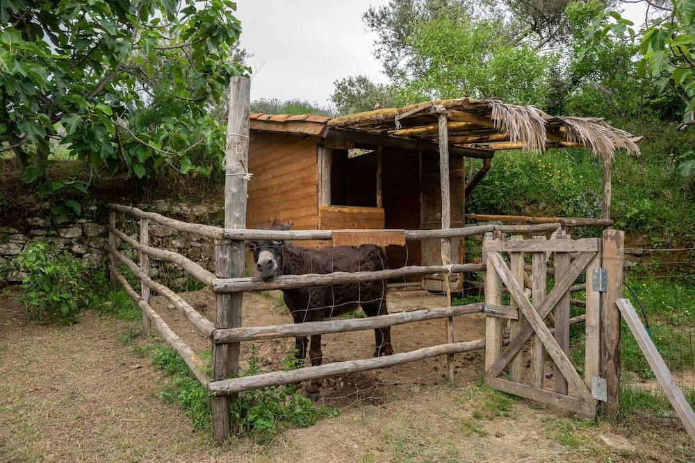 Country House Villa Nigro