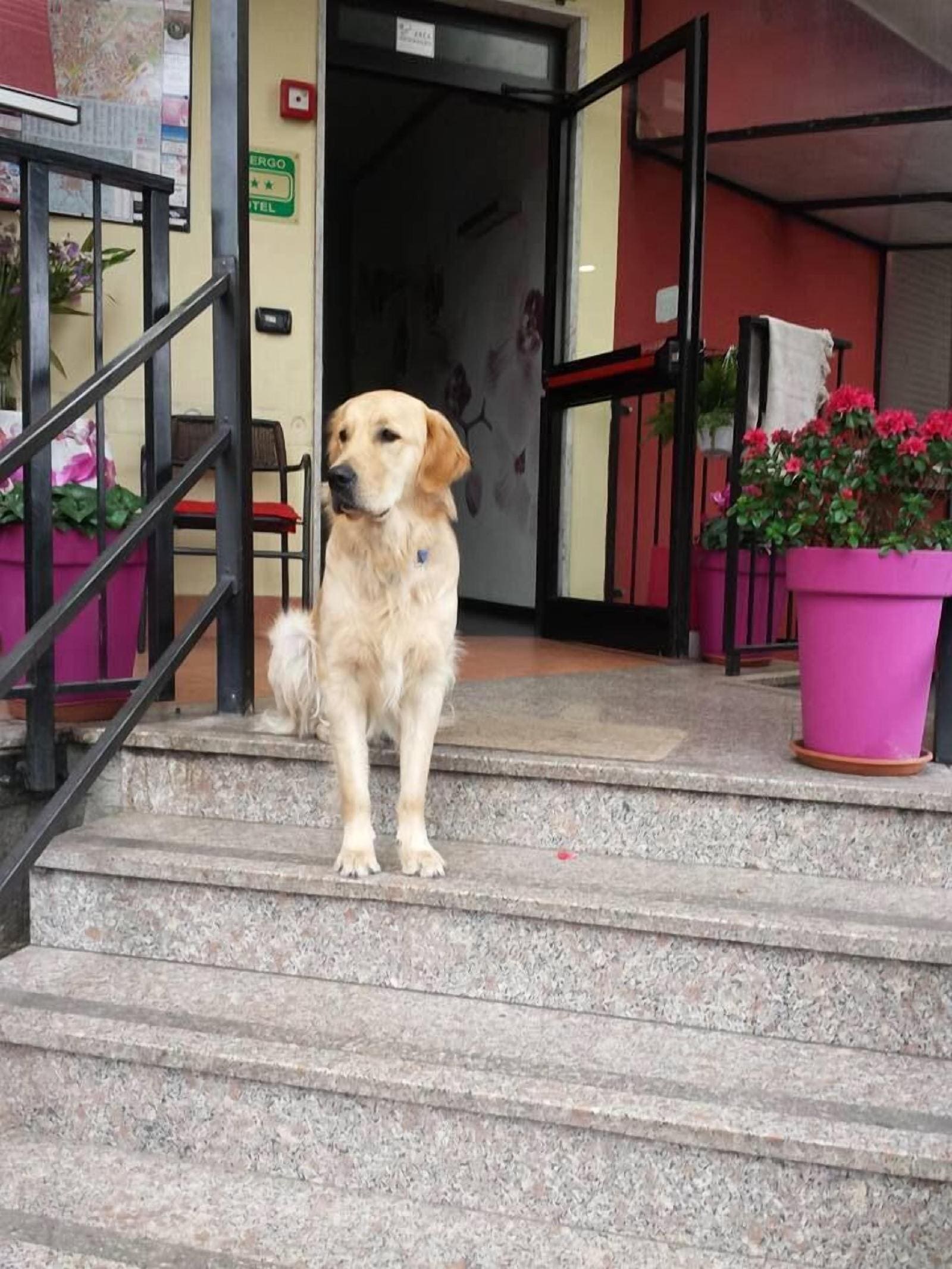 Hotel Renato