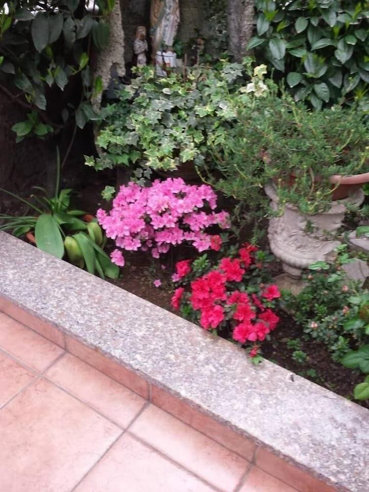 Hotel Renato
