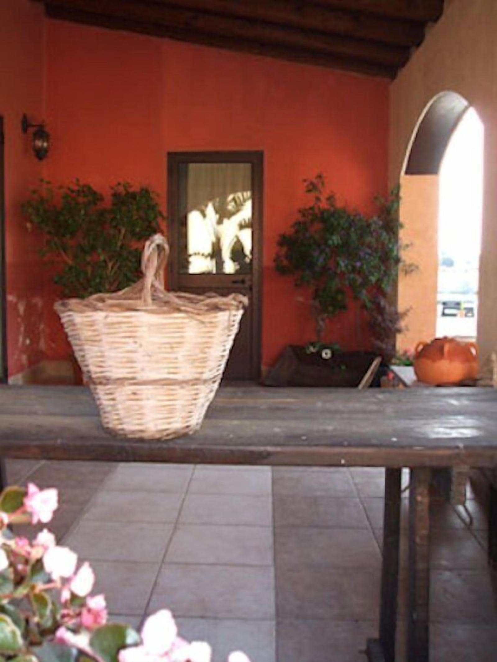 Le terre di San Domenico